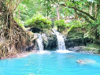 Close-up of swimming pool