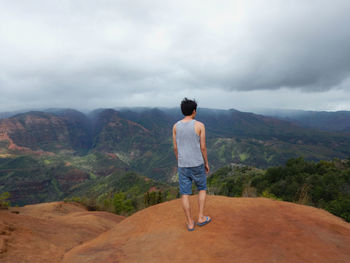 Rear view of man standing on mountain