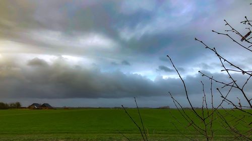 Scenic view of field against sky