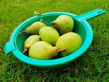 High angle view of apples in container on field