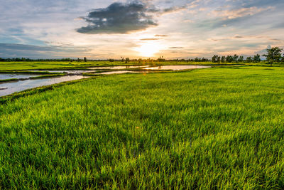 Scenic view of field against sky during sunset