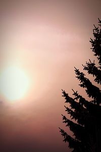 Low angle view of silhouette trees against sky at sunset