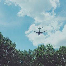 Low angle view of airplane flying in sky