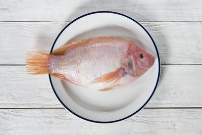 Raw fish pink tilapia on a plate on a wooden white table, flat lay food