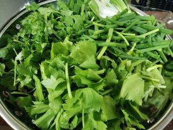 High angle view of chopped vegetables in bowl