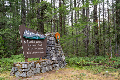 Information sign on tree trunk in forest