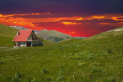 Scenic view of field against sky during sunset