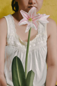 Close-up of woman holding purple flowering plant