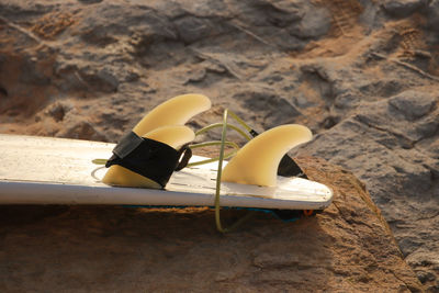 Surfboard lays on the rocks from a surf spot