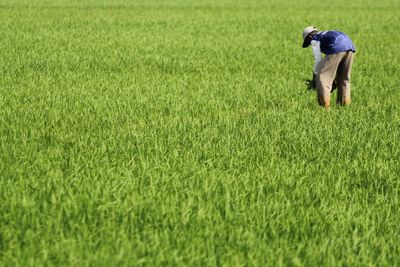 Rear view of man working on field