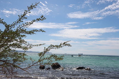 Scenic view of sea against sky