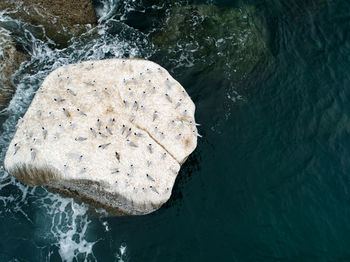 High angle view of rock formation in sea