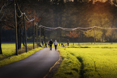 Rear view of people walking on field