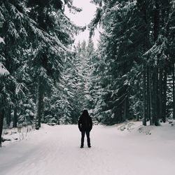 People walking on snow covered landscape