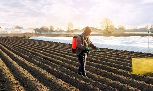 The farmer treats the field from weeds and grass for growing potatoes. use chemicals in agriculture