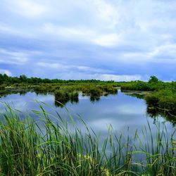 Scenic view of lake against sky