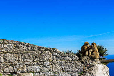 Low angle view of people sitting on rock against blue sky