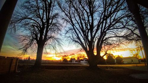 Silhouette trees on landscape against sky at sunset