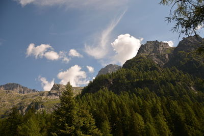 Panoramic view of trees and mountains against sky