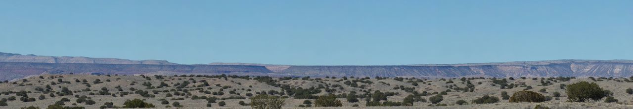 Panoramic view of farm against clear blue sky