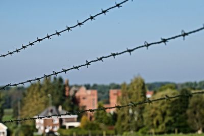 Close-up of chainlink fence