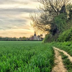 Scenic view of field against cloudy sky
