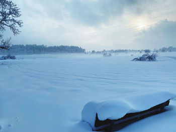 Scenic view of snow covered trees against sky