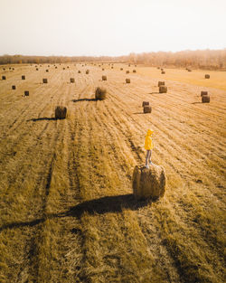 Hay bales on field against sky