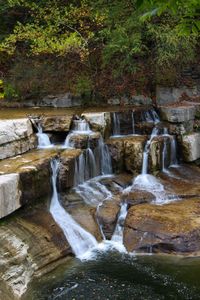 Scenic view of waterfall in forest