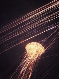 Close-up of illuminated lighting against sky at night