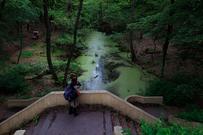 High angle view of woman standing on steps in forest