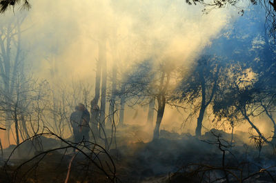 Firefighters spraying water in burnt forest