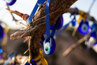 Close-up of blue tied hanging on branch