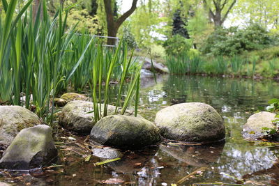 Scenic view of lake