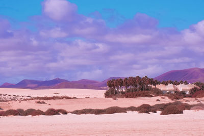 Stylish fashion tropical view.travel concept. canary island. desert. minimalist aesthetic