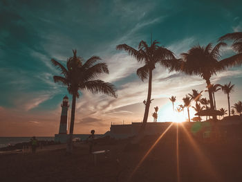 Silhouette palm trees on beach against sky during sunset