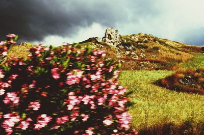 Scenic view of field against cloudy sky