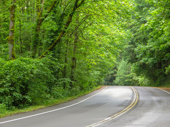 Road amidst trees in forest