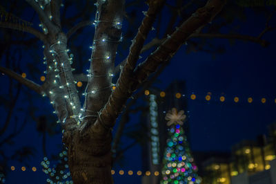 Low angle view of illuminated christmas lights at night