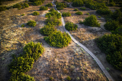 High angle view of road amidst land