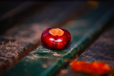 Close-up of chestnut on table