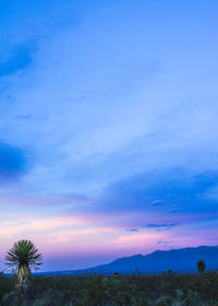 Scenic view of landscape against cloudy sky