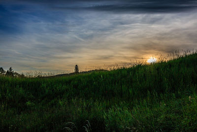 Scenic view of grassy field against cloudy sky