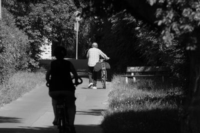 Rear view of people with bicycles on road