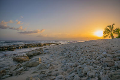 Scenic view of sea at sunset