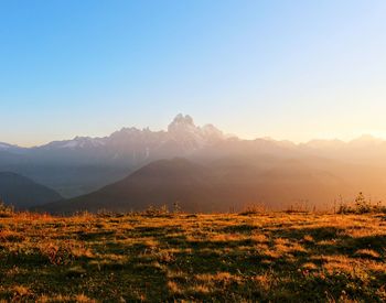 Scenic view of field against clear sky