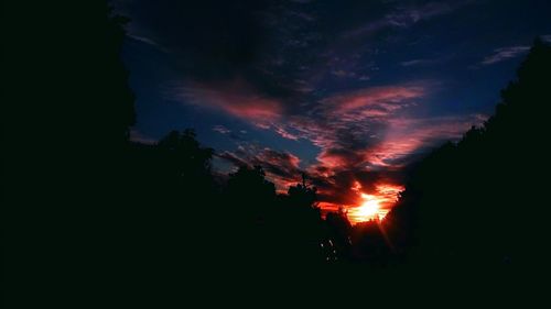 Low angle view of silhouette trees against sky at night