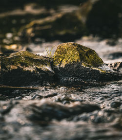 Close-up of rock in water