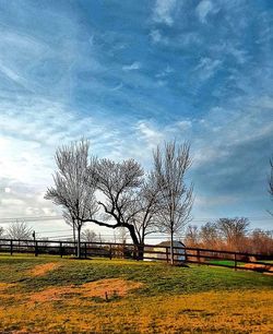 Bare trees on field against cloudy sky