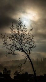 Low angle view of bare trees against cloudy sky